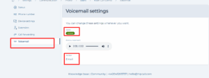User Voicemail Settings